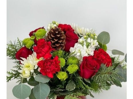 Holiday "budget friendly "designer choice