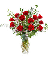 Red Rose Dozen Classic